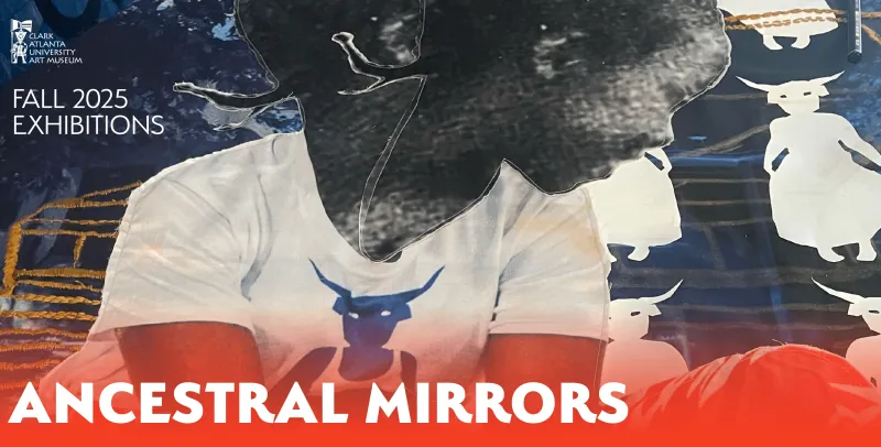 Collage of a child with a shirt featuring a bull against abstract shapes and figures.