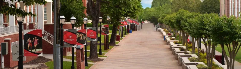 Tree-lined campus walkway with red flags and benches.