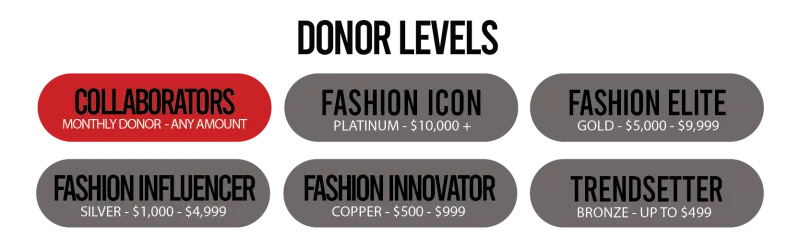 Different tiers of donor levels